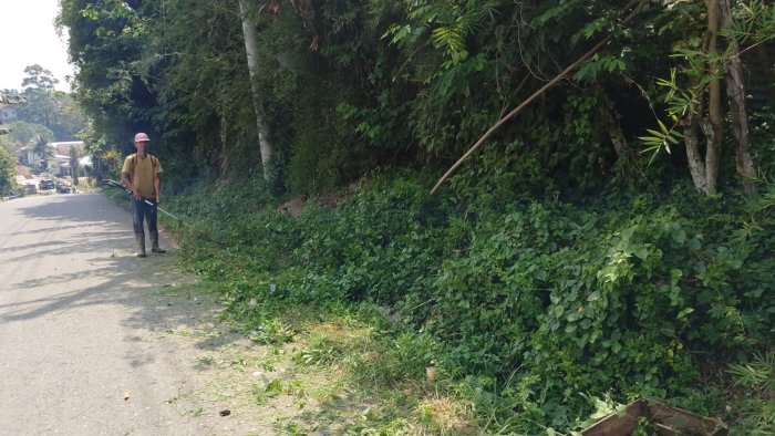 Petugas Kebersihan MIN 1 Merangin Giat Bersihkan Jalan dengan Mesin Rumput Petugas Kebersihan MIN 1 Merangin Giat Bersihkan Jalan dengan Mesin Rumput