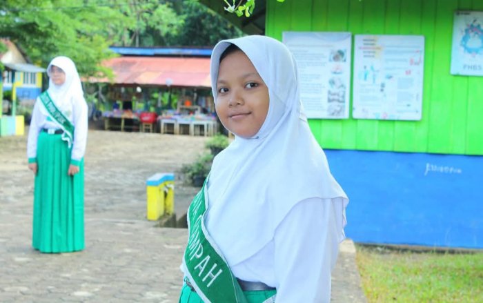 Peran Duta Sampah Minsamer, Dalam Program Lisa